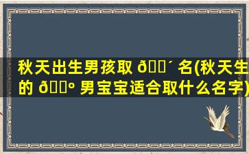 秋天出生男孩取 🐴 名(秋天生的 🐺 男宝宝适合取什么名字)